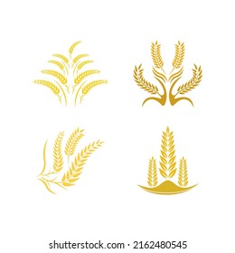 Diseño del icono del vector del logotipo del trigo