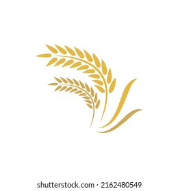 Wheat logo vector icon illustration design