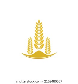 Diseño del icono del vector del logotipo del trigo