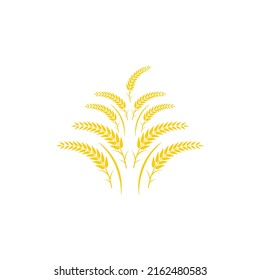 Wheat logo vector icon illustration design