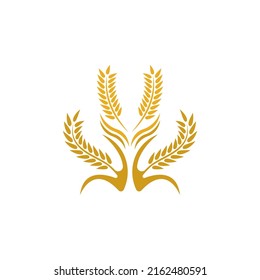 Wheat logo vector icon illustration design