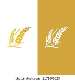 Wheat logo vector icon illustration design
