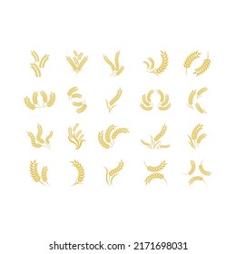 Wheat logo vector icon illustration design