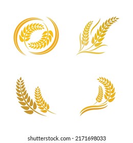 Wheat logo vector icon illustration design