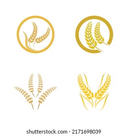 Diseño del icono del vector del logotipo del trigo