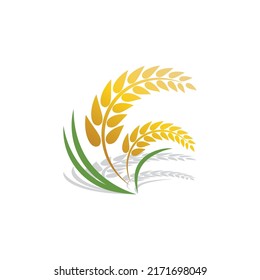 Wheat logo vector icon illustration design