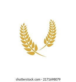 Wheat logo vector icon illustration design