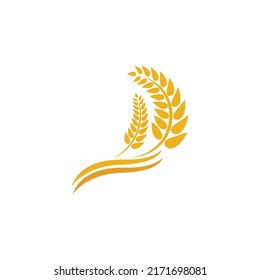Wheat logo vector icon illustration design