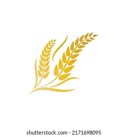 Wheat logo vector icon illustration design