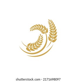 Wheat logo vector icon illustration design
