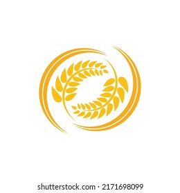 Wheat logo vector icon illustration design