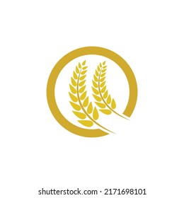 Wheat logo vector icon illustration design