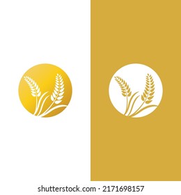 Wheat logo vector icon illustration design