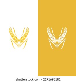 Wheat logo vector icon illustration design