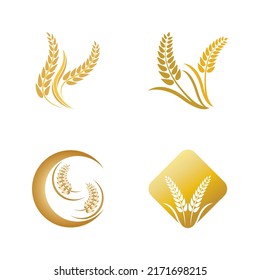 Wheat logo vector icon illustration design