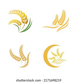 Weizen-Logo, Vektorsymbol-Design