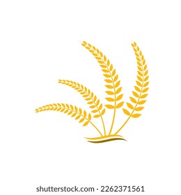 Wheat logo vector icon illustration design