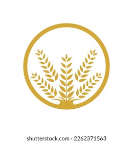 Wheat logo vector icon illustration design