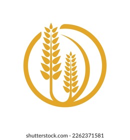 Wheat logo vector icon illustration design