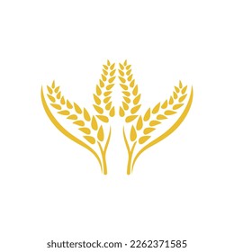 Wheat logo vector icon illustration design