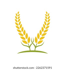 Wheat logo vector icon illustration design