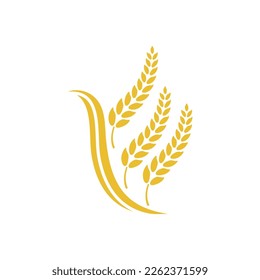 Wheat logo vector icon illustration design