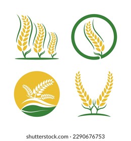 Diseño del icono del vector del logotipo del trigo