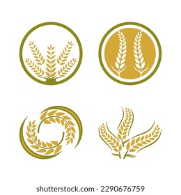 Wheat logo vector icon illustration design