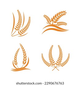 Wheat logo vector icon illustration design