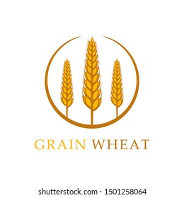 Wheat logo vector illustration isolated on white background
