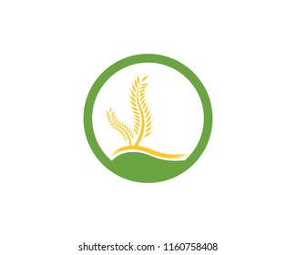 Wheat logo vector template