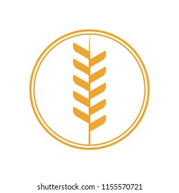 Wheat Logo Vector Template Agriculture Icon Design