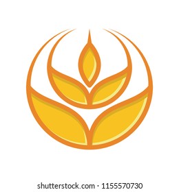 Wheat Logo Vector Template Agriculture Icon Design