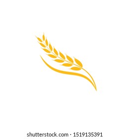wheat logo vector template design