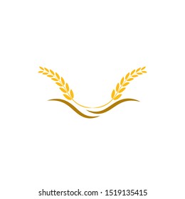 wheat logo vector template design