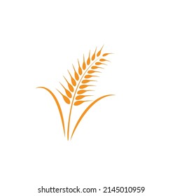 wheat logo vektor illustration design