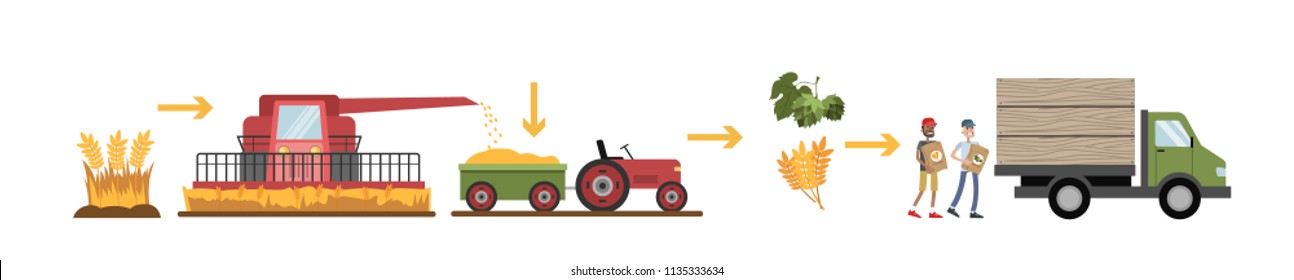 Wheat manufacture process. Bread industry. Growing, mowing, and gathering harvest. Isolated vector flat illustration