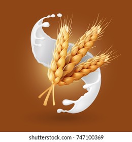 Wheat and milk splash. Barley cereals in yogurt illustration. Realistic vector