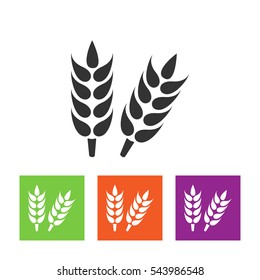 Wheat, millet, barley, rye, oats drawing. Farm field illustration. Vector illustration.
