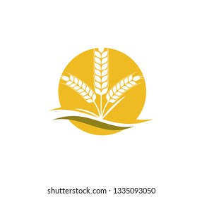 wheat nettle inside circle vector icon logo design template