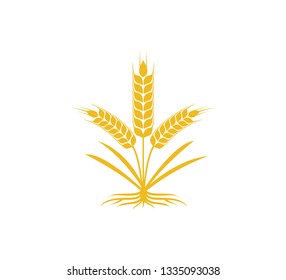 wheat nettle with strong root vector icon logo design template