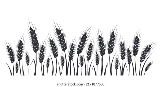 Wheat, oat, rye or barley field silhouette. Cereal plant border, agricultural landscape with black spikelets. Banner for design beer, bread, flour packaging.