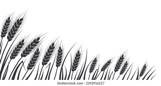 Wheat, oat, rye or barley field silhouette. Cereal plant border, agricultural landscape with black spikelets. Banner for design beer, bread, flour packaging