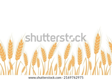 Wheat, oat, rye or barley field silhouette seamless. Cereal plant border, agricultural landscape with golden spikelets. Banner for design beer, bread, flour packaging
