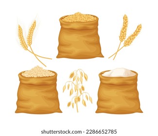 Wheat, oats and barley. Wheat and oat grains in large bags. Flour from cereals. A bag of flour and ears of cereals. Vector illustration