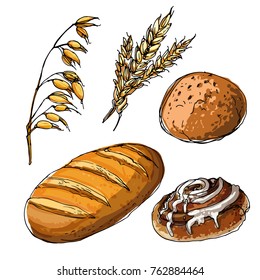 Trigo y avena. Pan dibujado por una línea sobre un fondo blanco. Cuenta de comida colorida. Productos de panadería.