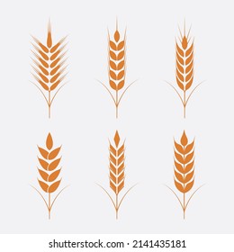 Wheat and oats icons, symbols and vector,Can be used for web, print and mobile