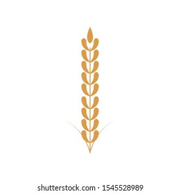 wheat oats logo design inspiration