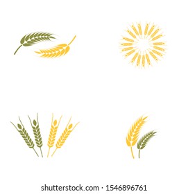 wheat oats logo design inspiration