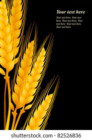 Wheat on black background